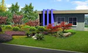 昆山廠區(qū)綠化養(yǎng)護(hù)-草坪雜草的控制技術(shù)